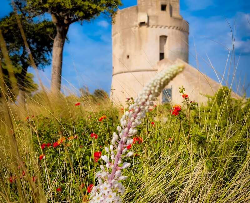 Vacanze di Natale a Torre Suda